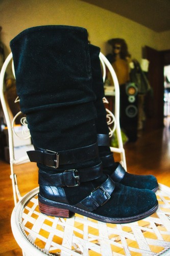 Studio pollini wildleder - studio,