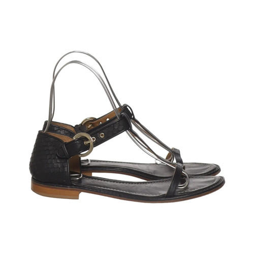 Studio pollini sandalen - studio,