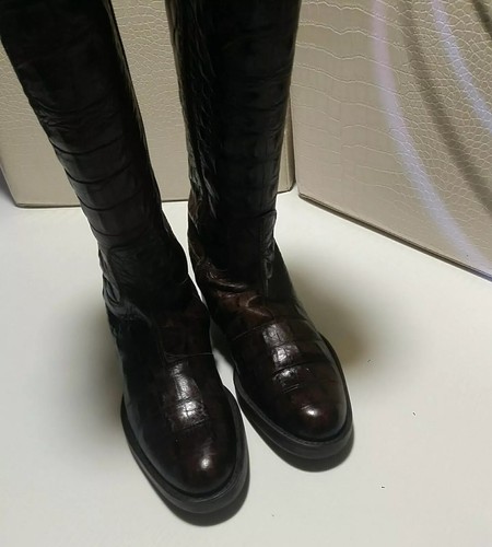 Studio pollini krokodil style - pollini,