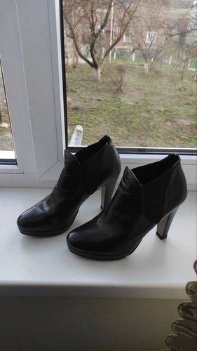 Women studio pollini ankle - women,